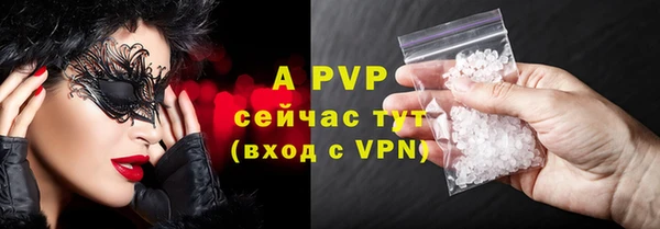 стаф Арсеньев