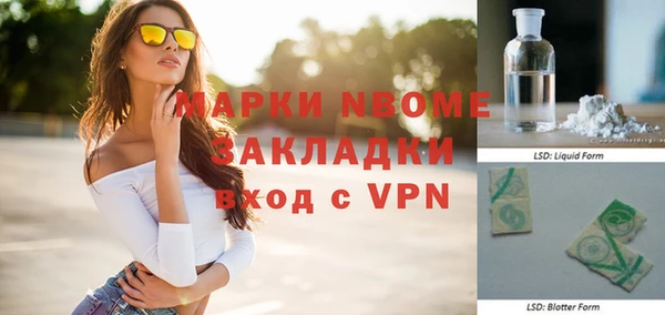 стаф Арсеньев