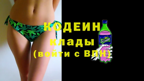 стаф Арсеньев