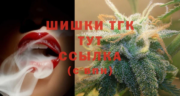 стаф Арсеньев