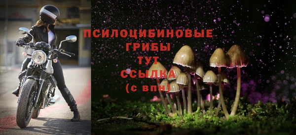 соль курить ск Армянск