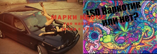 ПСИЛОЦИБИНОВЫЕ ГРИБЫ Аркадак
