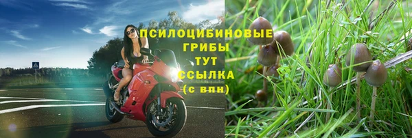 2c-b Балахна