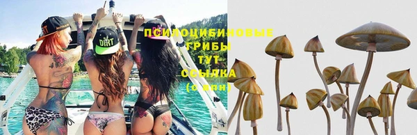 соль курить ск Армянск