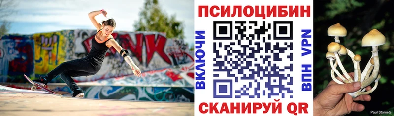даркнет сайт  Оленегорск  Псилоцибиновые грибы Magic Shrooms 